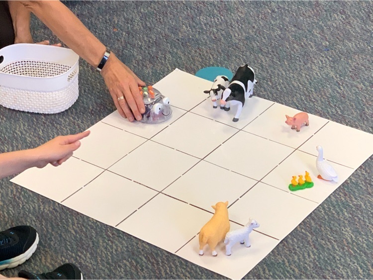 beebot mat with animals