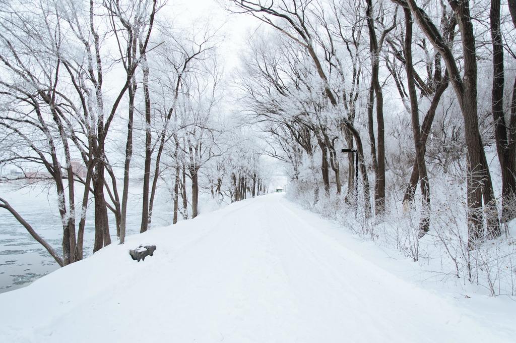 snowy trail